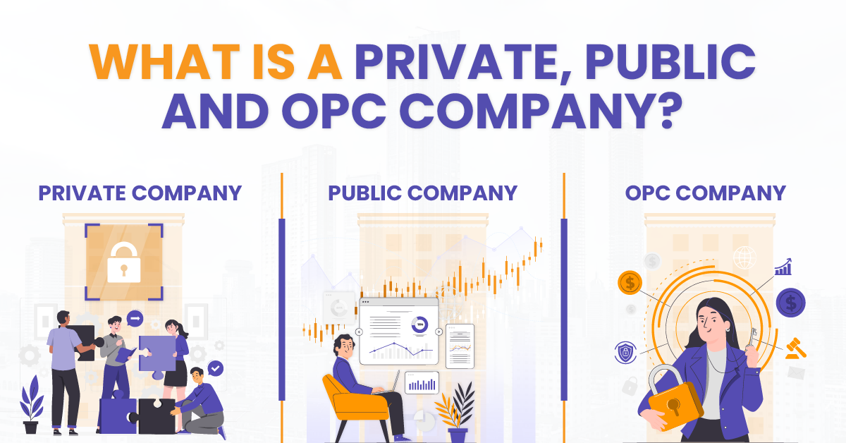 What is a Private, Public and OPC Company?